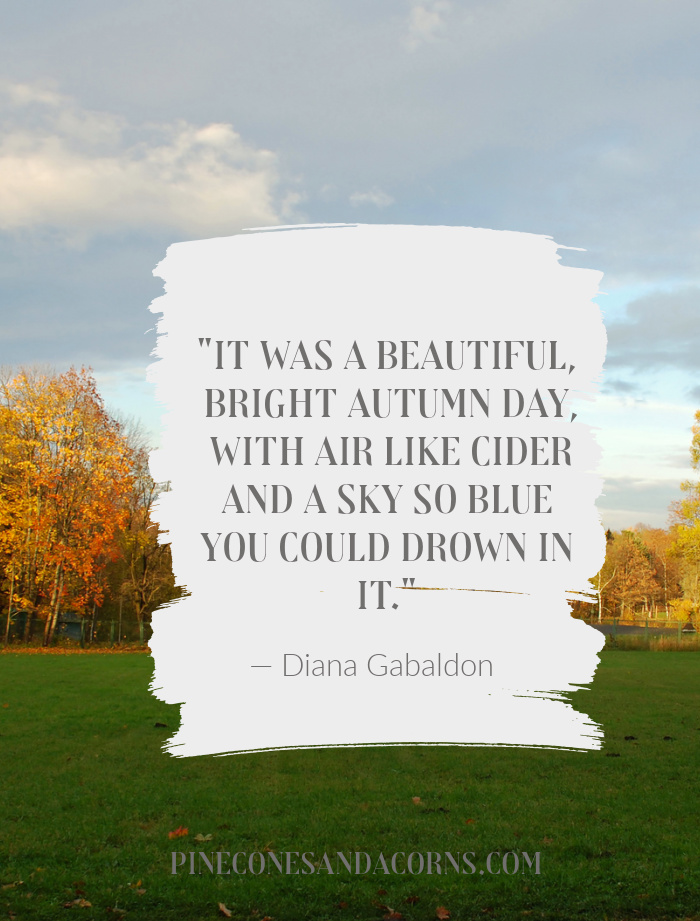 "It was a beautiful, bright autumn day, with air like cider and a sky so blue you could drown in it." — Diana Gabaldon.