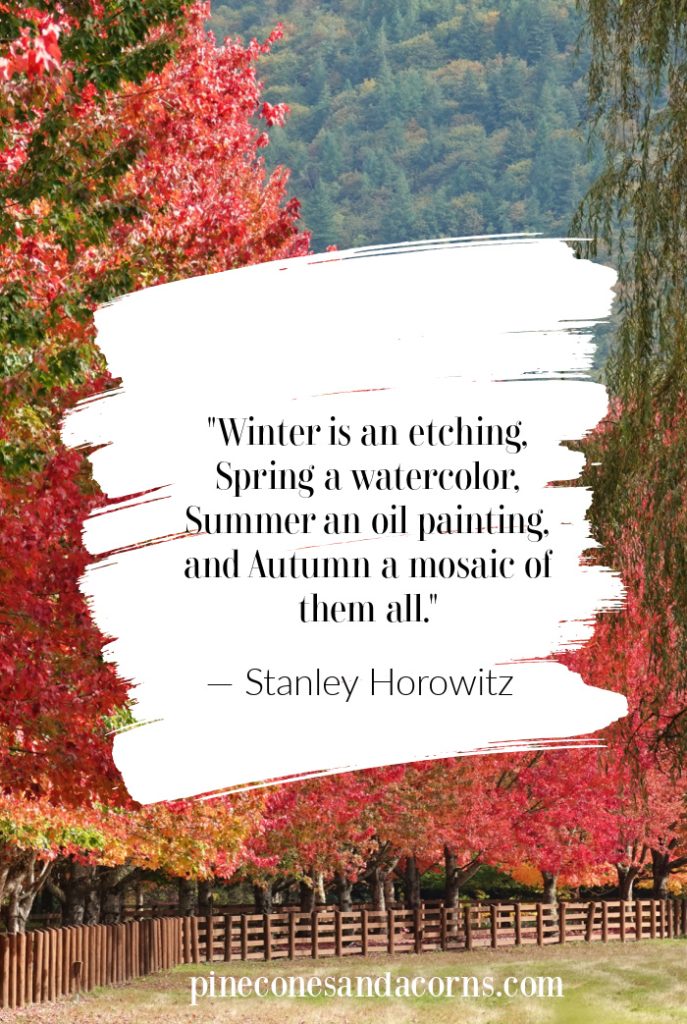 "Winter is an etching, Spring a watercolor, Summer an oil painting, and Autumn a mosaic of them all." — Stanley Horowitz overlay on Fall leaf photo. 