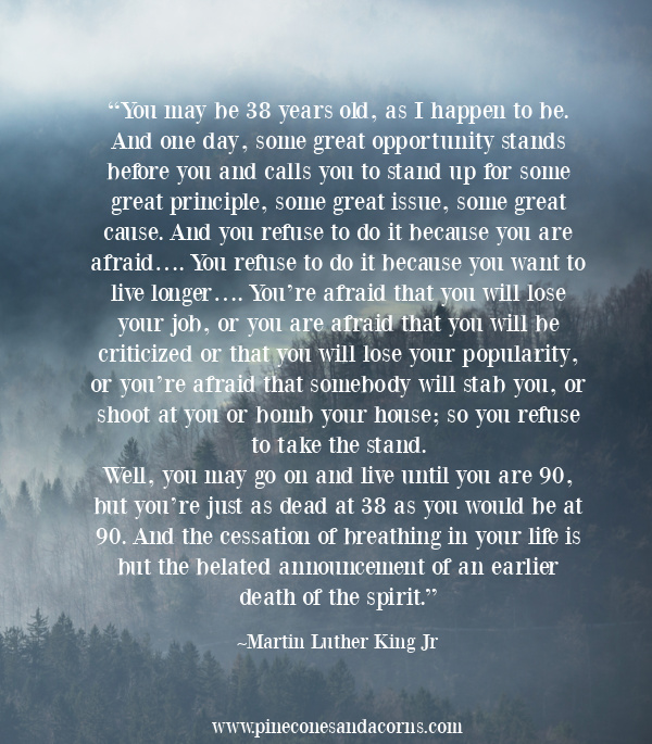 Quote Martin Luther King Jr