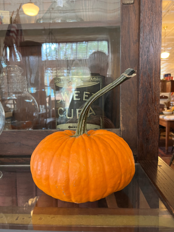 pumpkin and antiques