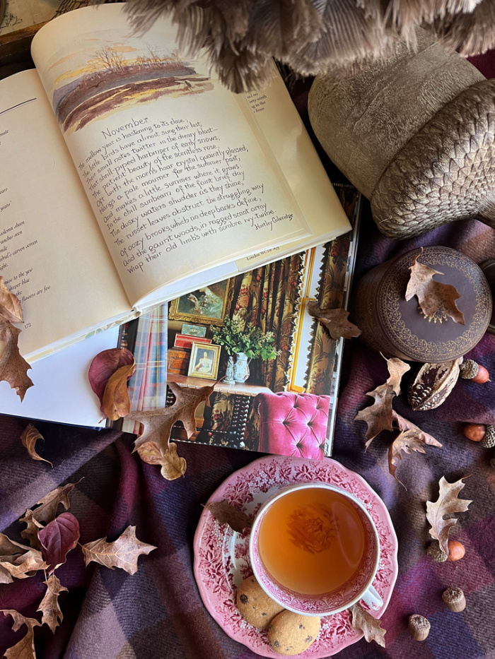 Friday Favorites Flatlay with book leaves red transfer ware cup and saucer