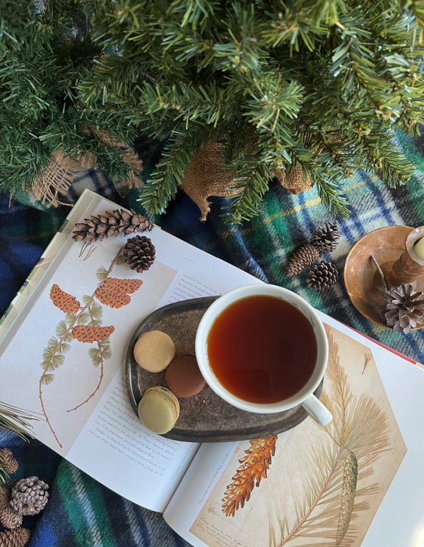 Friday Favorites flatlay with book, cup of tea pinecones and pine tree.