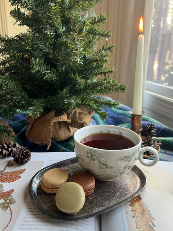 Weekend Meanderings Cup of tea with macarons, a book by candlelight.