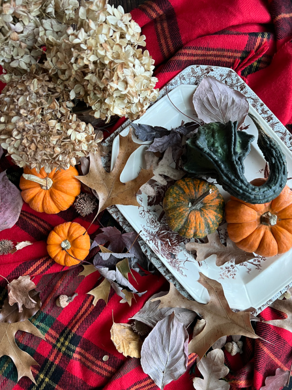 pumpkins gourds dried hydrangeas