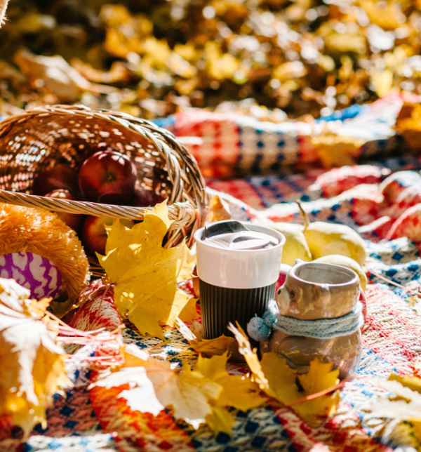 tea on a plaid blanket in the fall