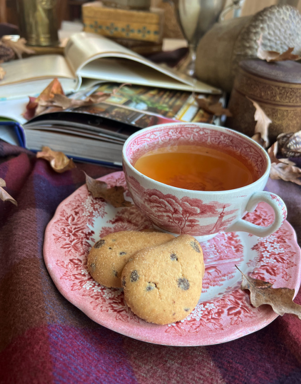 weekend meanderings, cup of tea in a red transfer ware cup and saucer with cookies and books.