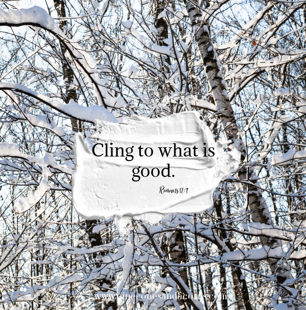 Bible Quote Cling to what is good Romans 12-9 overlay on snow covered branches.