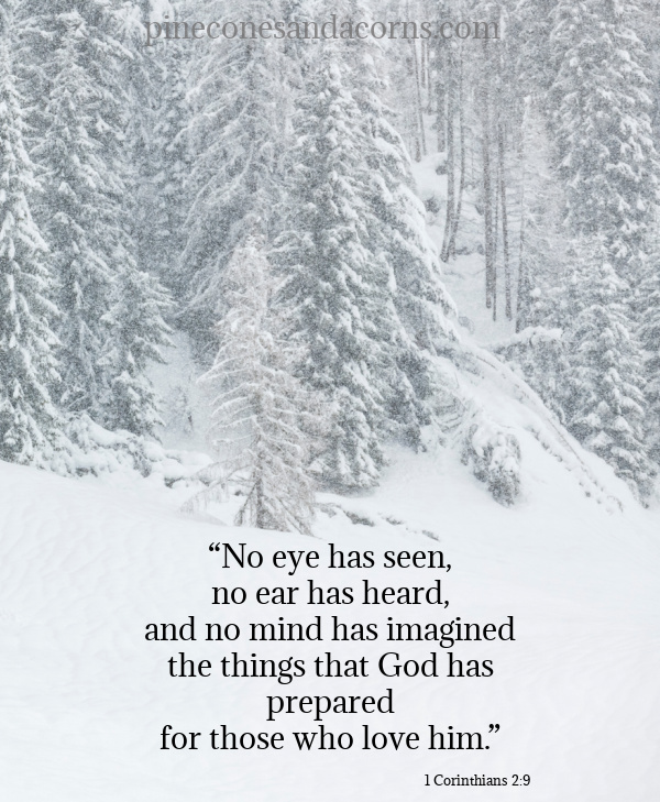 Bible Quote “No eye has seen, no ear has heard, and no mind has imagined the things that God has prepared for those who love him.” 1 Corinthians 2_9
