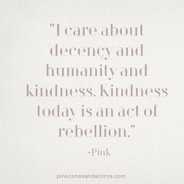 "I care about decency and humanity and kindness. Kindness today is an act of rebellion."