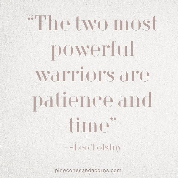 “The two most powerful warriors are patience and time” – Leo Tolstoy