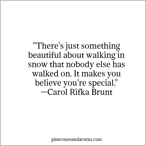Quote Winter There's just something beautiful about walking in snow that nobody else has walked on. It makes you believe you're special.
