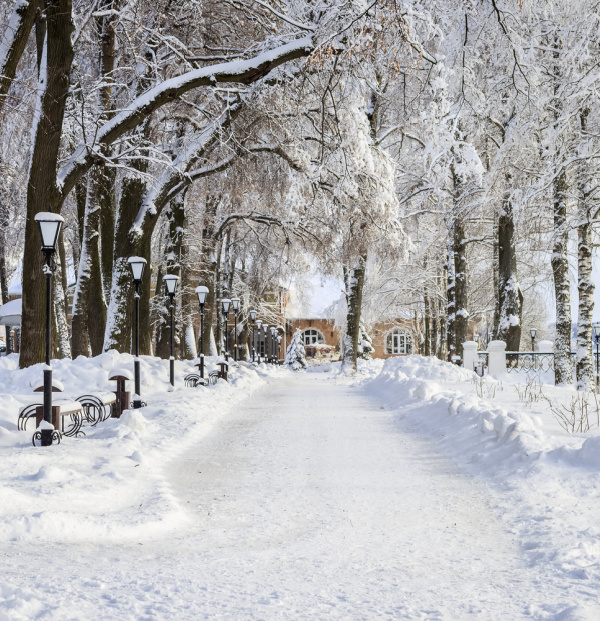 snow day in the city