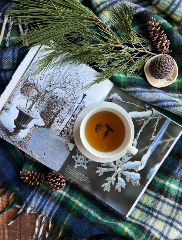 winter flatlay with a tartan blanket cup of tea and an open book