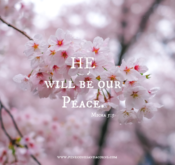 Micha 5:5 he will be our peace