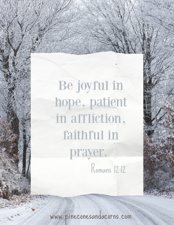 Romans 12_12 Be joyful in hope, patient in affliction and faithful in prayer.