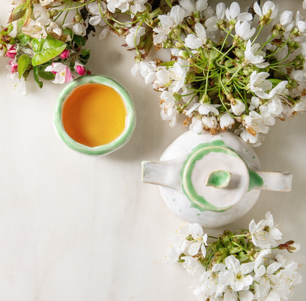White cherry blossoms and a cup of tea and a teapot