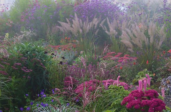 Patthana Garden, a colorful wildflower garden. 