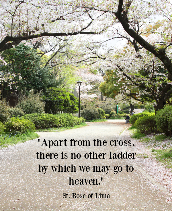 Bible Quote Apart from the cross, there is no other ladder by which we may go to heaven.