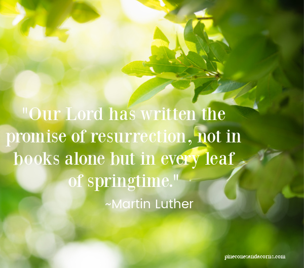 Quote Palm Sunday Martin Luther Our lord has written the promise of resurrection not just in books but in every leaf of springtime overlay on spring green leaves and branches.