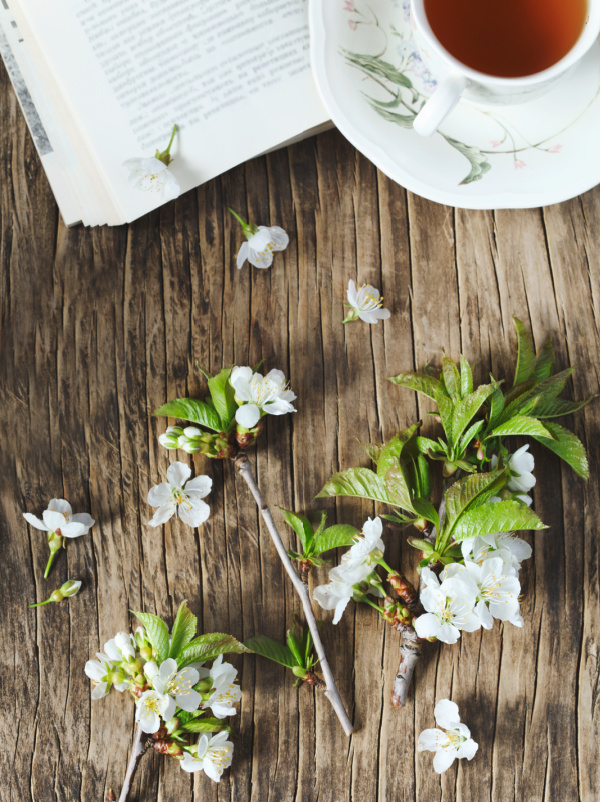 White pear blossoms and a cup of tea and an open book.