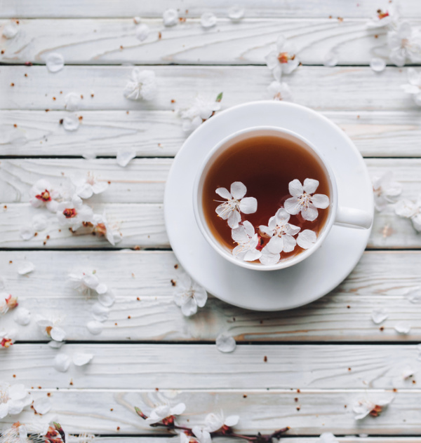 cherry blossoms floating in a white cup of tea on a white saucer.