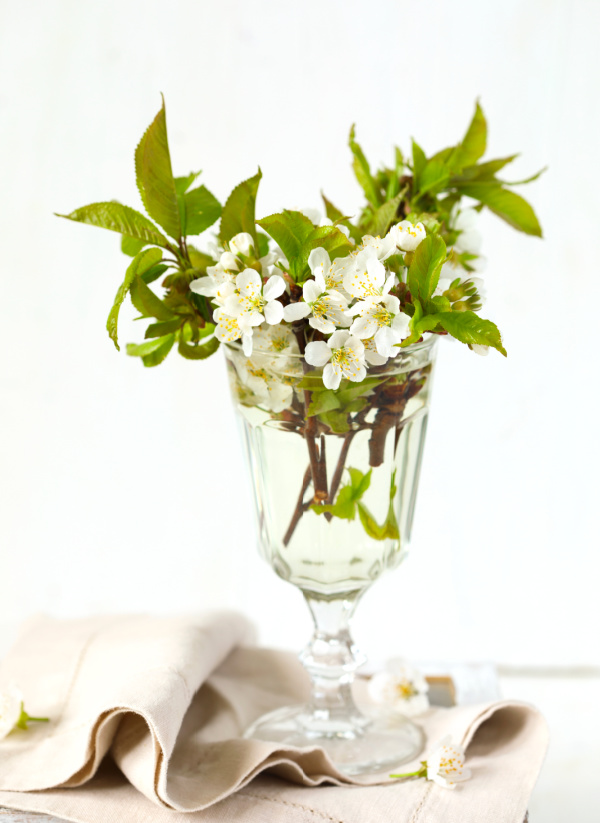 pear blossoms in a footed glass.