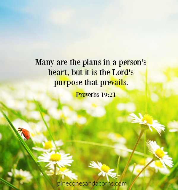 Bible Quote Proverbs 19:21 Many are the plans in a person's heart, but it is the Lord's purpose that prevails overlay on a field of flowers and a ladybug.
