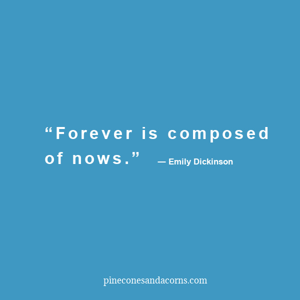 “Forever is composed of nows.” Emily Dickenson