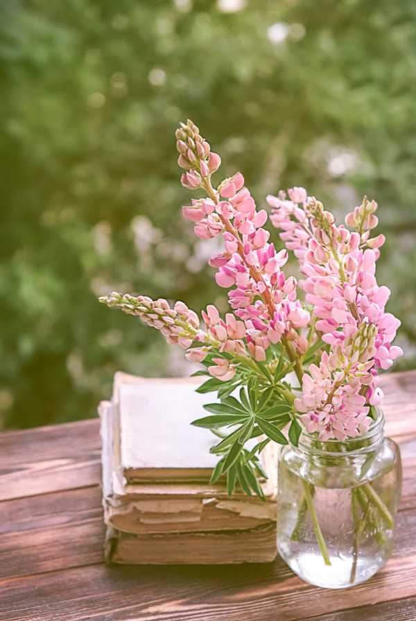 Pink lupine flowers in a glass jar next to old books.