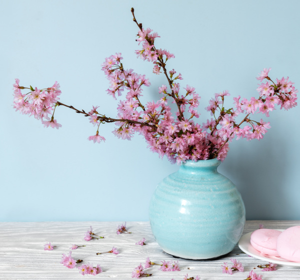 pink cherry blossoms in a jade blue vase with pink cookies on a plate.