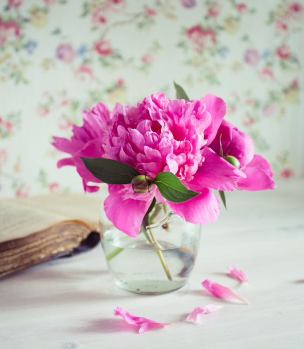 pink peonies in a clear glass vase with a book along the left side.