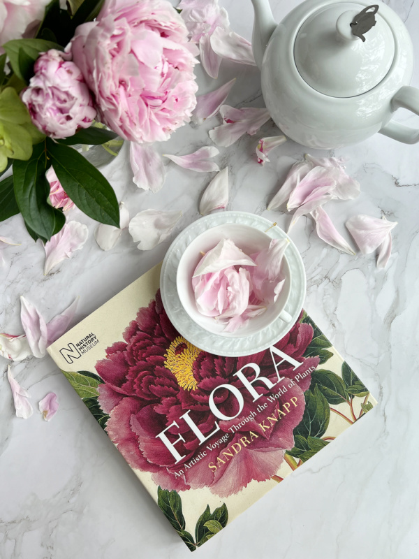 Flora Sandra Knapp and a vase of peonies, and a white teapot and tea cup.