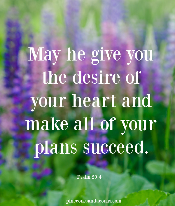 Psalm 20_4 May he give you the desire of your heart and make all of your plans succeed.