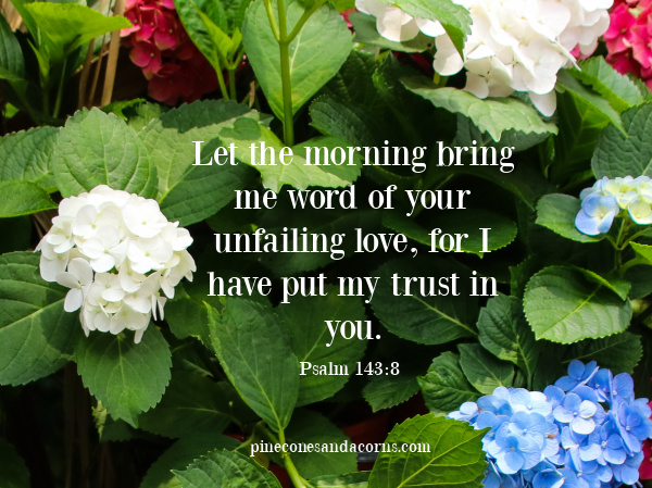Psalms 143_8 Let the morning bring me word of your unfailing love, for I have put my trust in you. overlay on red, blue and white hydrangea flowers.