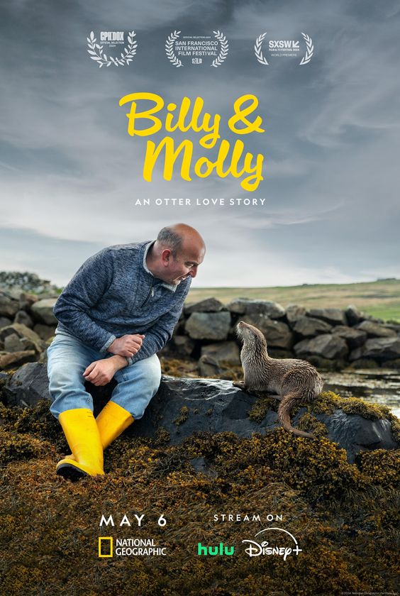 Billy & Molly, a man and an otter sitting on a stone wall.