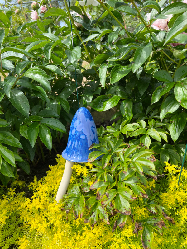peonies and a blue mushroom