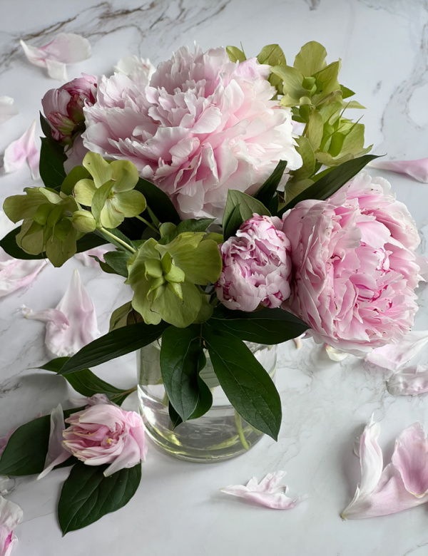 pink peonies and green hellebores in a clear glass jar with scattered petals around the bottom.