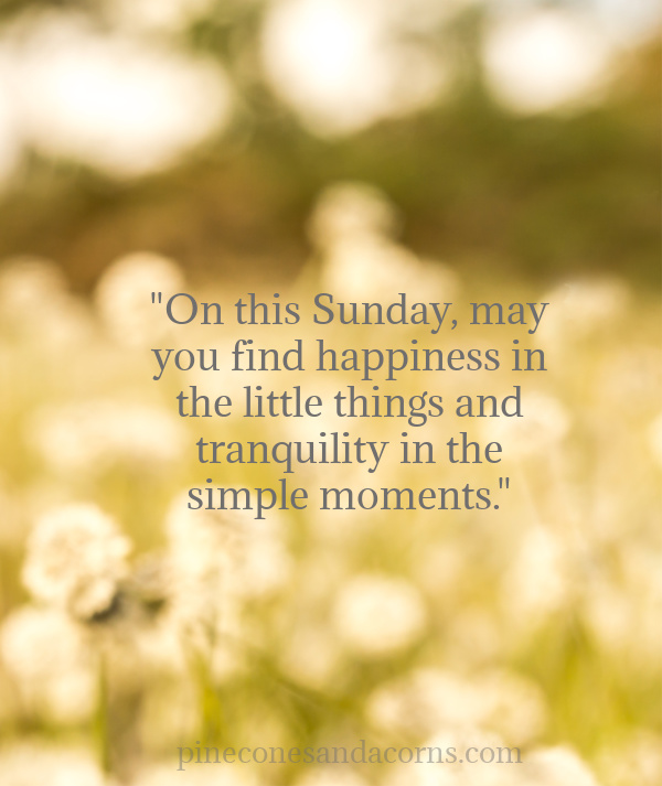 "On this Sunday, may you find happiness in the little things and tranquility in the simple moments."