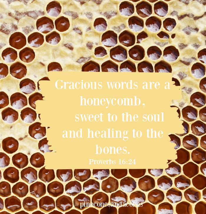 Gracious words are a honeycomb, sweet to the soul and healing to the bones, overlay on a honeycomb.