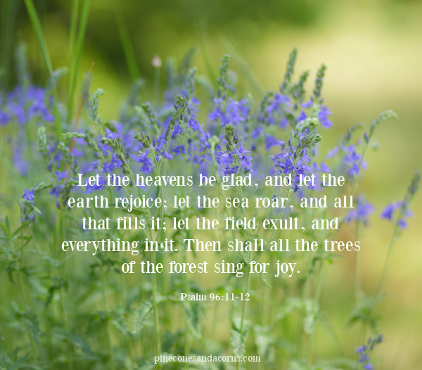 Psalm 96:11-12 Let the heavens be glad, and let the earth rejoice; let the sea roar, and all that fills it; let the field exult, and everything in it. Then shall all the trees of the forest sing for joy