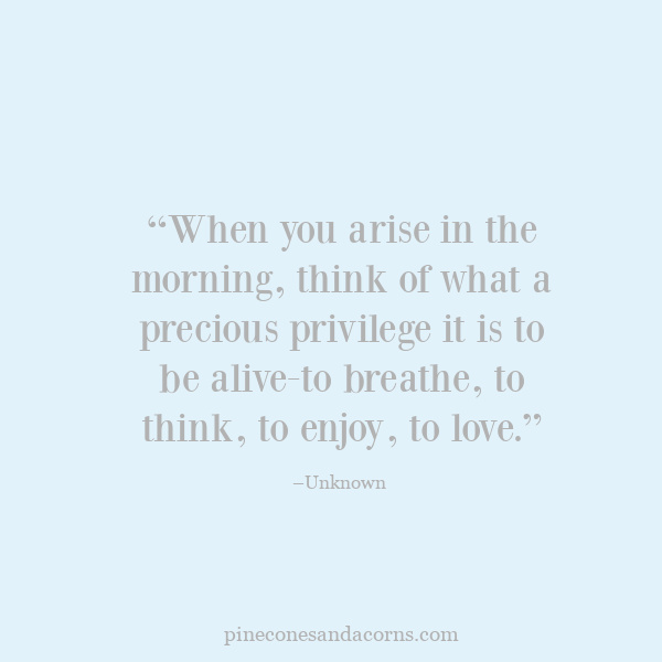“When you arise in the morning, think of what a precious privilege it is to be alive-to breathe, to think, to enjoy, to love.” Marcus Aurelius