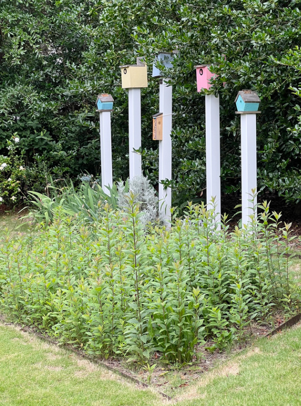 colorful bird houses in a row.