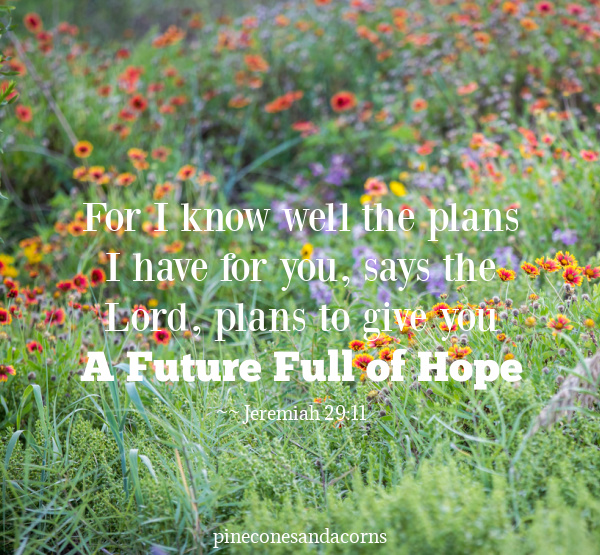 For I know well the plans I have for you, says the Lord, plans to give you a future full of hope. ~ Jeremiah 29_11 overlay on a field of wildflowers.