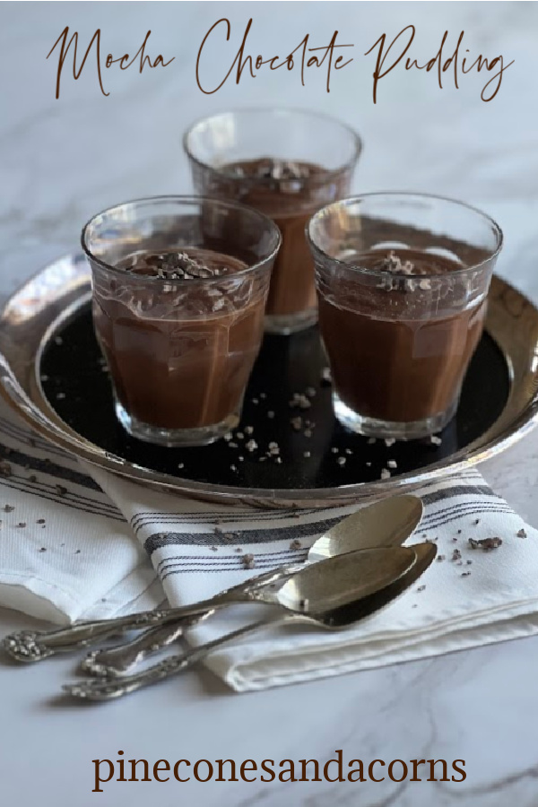 Mocha Chocolate pudding Pin.