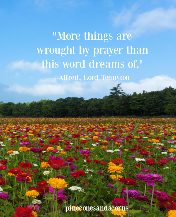 More things are wrought by prayer than this word dreams of. ~Alfred, Lord Tennyson.