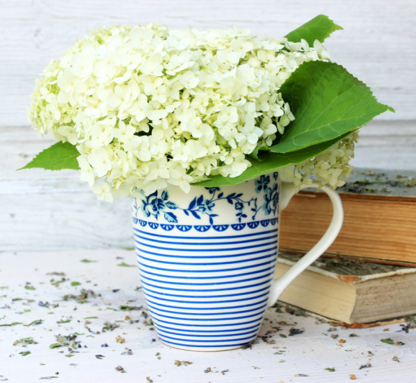white hydrangea in a blue and white mug with 2 books.