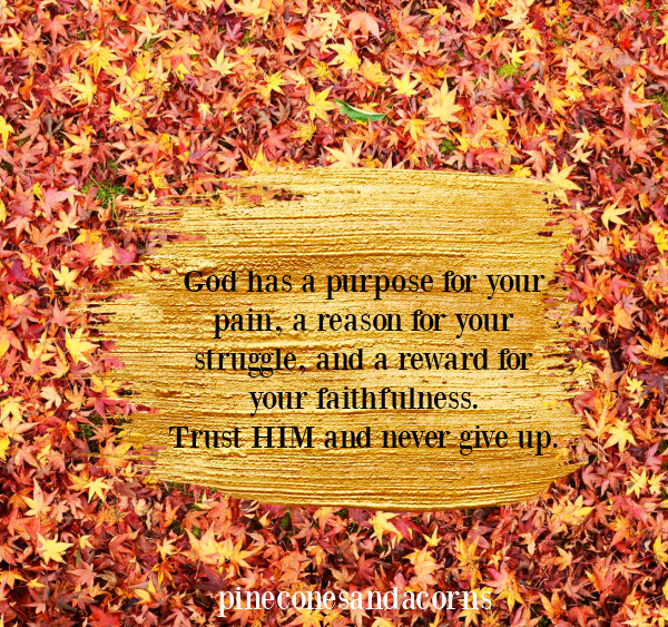Bible Quote God has a purpose for your pain, a reason for your struggle, and a reward for your faithfullness. Trust HIM and never give up overlay on a field of colorful fall leaves.