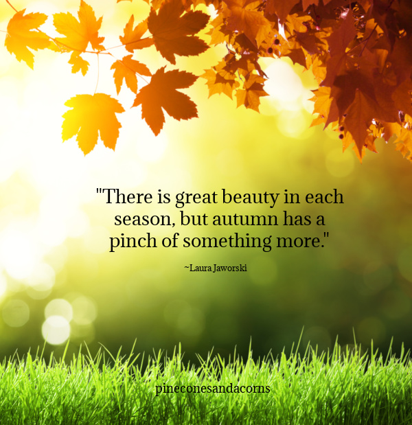 Fall Quote There is great beauty in every season but autumn has a pinch of something more overlay in a scene of green grass and colorful fall leaves hanging from a tree.