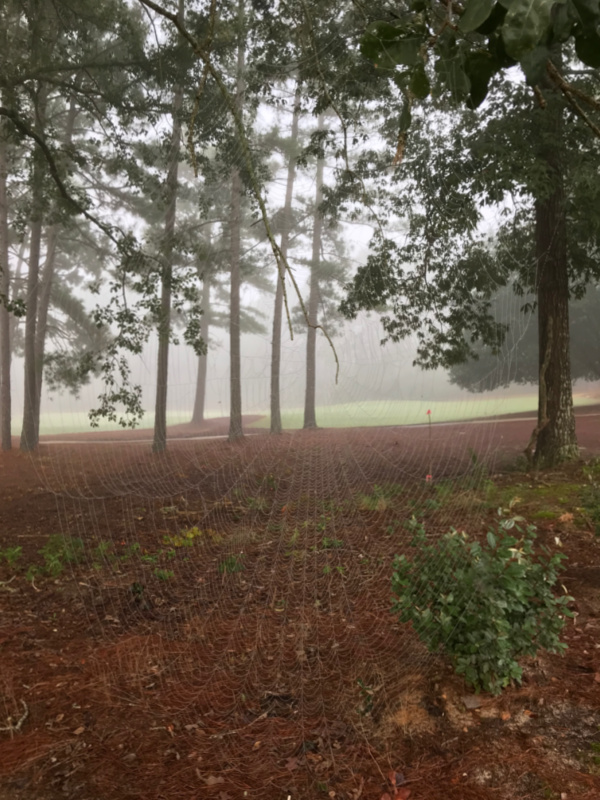 Fall in NC