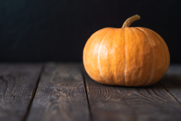 Fall orange pumpkin